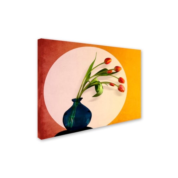 Mark Ashkenazi 'Tulips 3' Canvas Art,24x32